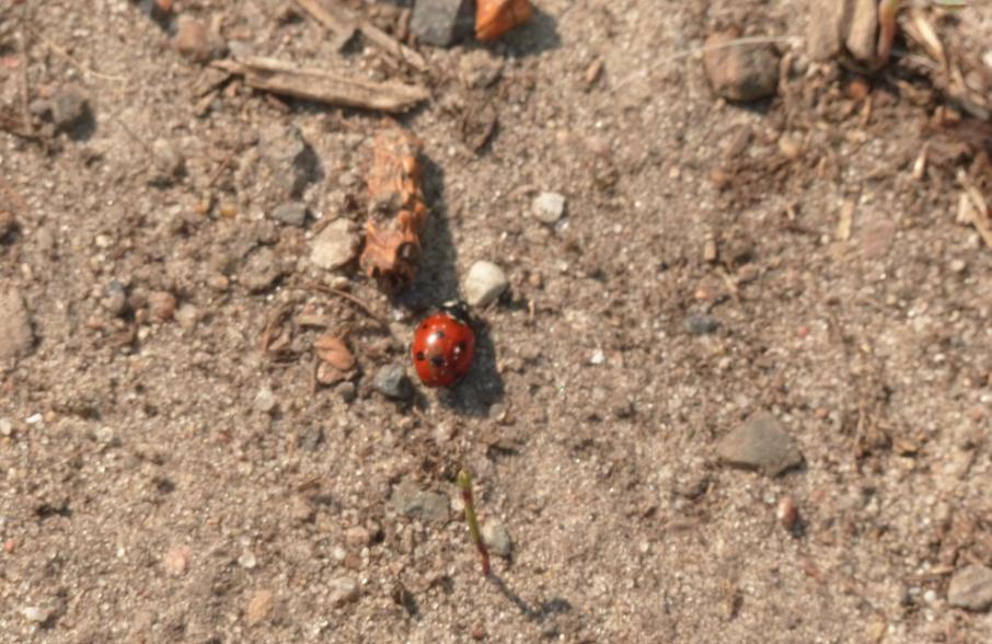 Bildschirmfoto 2015-08-22 um 13.09.50